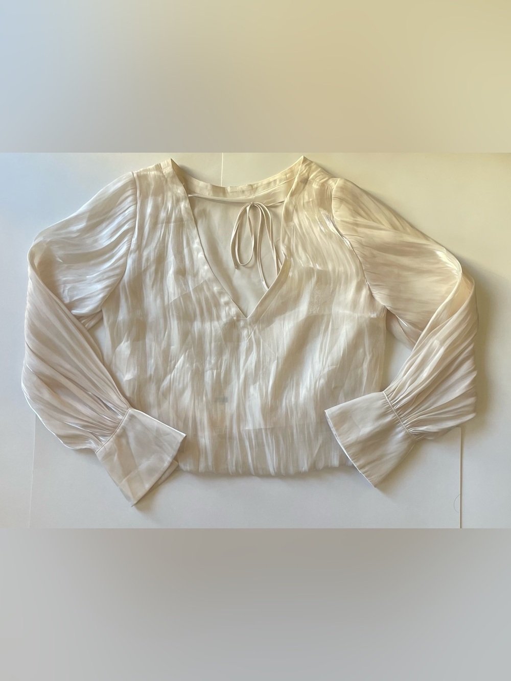 Anthropologie Cream Sheer V-Neck Blouse